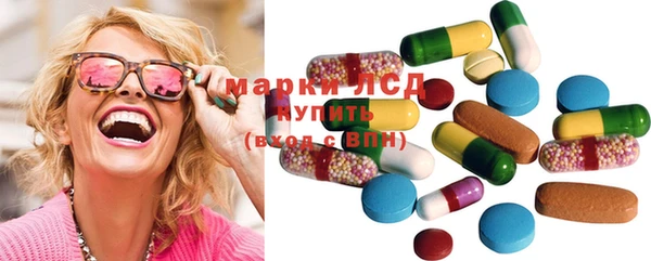 индика Няндома