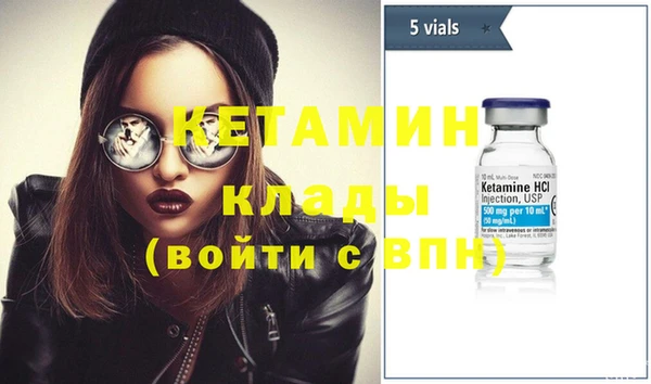 индика Няндома