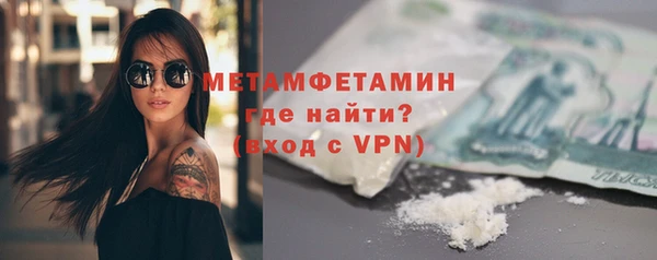 индика Няндома
