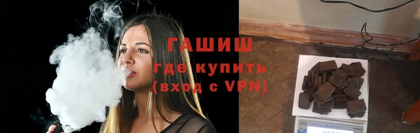 индика Няндома