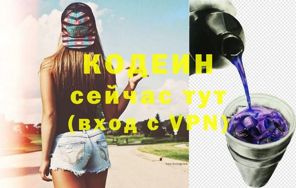 индика Няндома