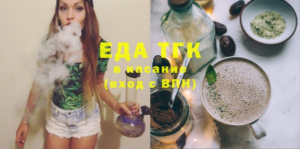 индика Няндома
