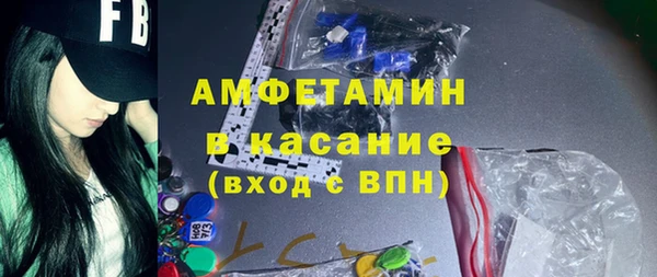 индика Няндома