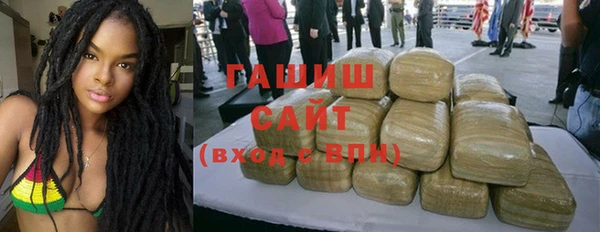 индика Няндома