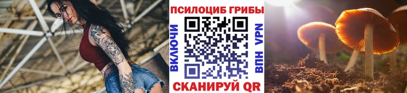 Галлюциногенные грибы мухоморы  Ладушкин 